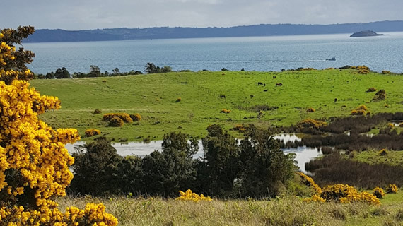 Laguna Quenac