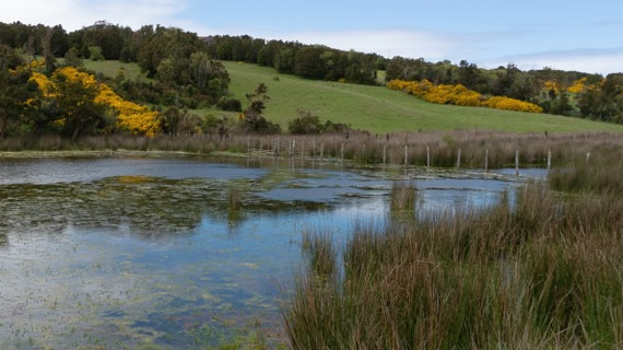 Laguna Quenac